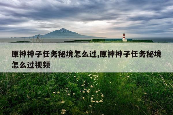 原神神子任务秘境怎么过,原神神子任务秘境怎么过视频