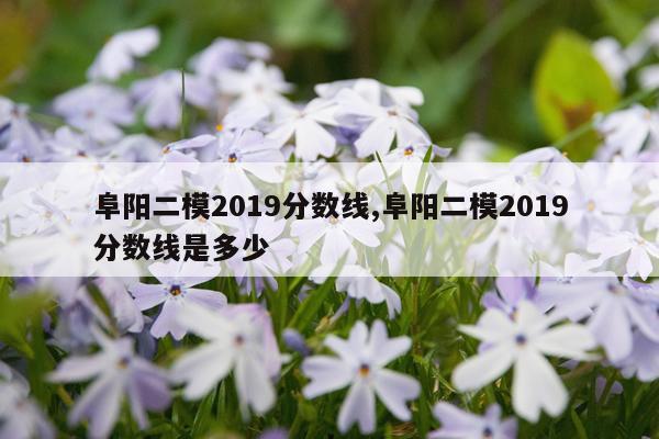 阜阳二模2019分数线,阜阳二模2019分数线是多少