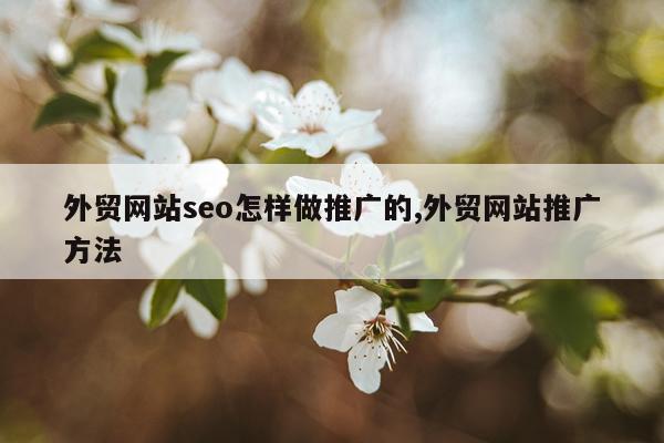 外贸网站seo怎样做推广的,外贸网站推广方法