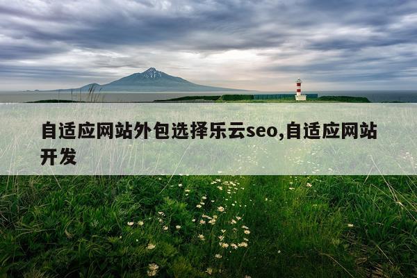 自适应网站外包选择乐云seo,自适应网站开发