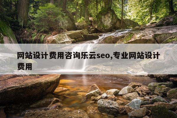 网站设计费用咨询乐云seo,专业网站设计费用
