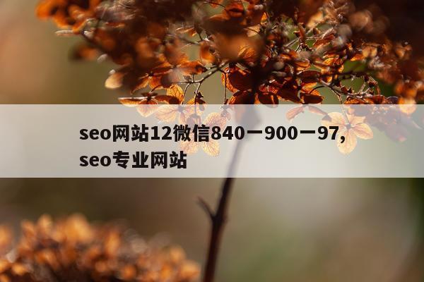 seo网站12微信840一900一97,seo专业网站