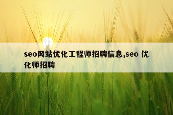 seo网站优化工程师招聘信息,seo 优化师招聘