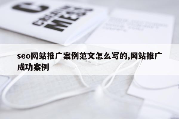 seo网站推广案例范文怎么写的,网站推广成功案例