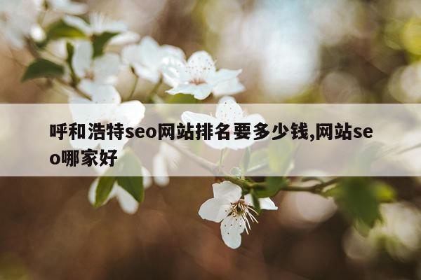 呼和浩特seo网站排名要多少钱,网站seo哪家好