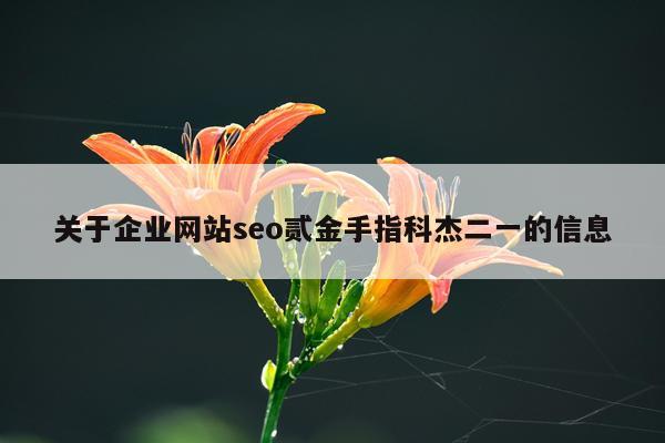 关于企业网站seo贰金手指科杰二一的信息