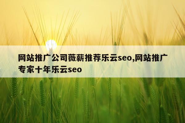 网站推广公司薇薪推荐乐云seo,网站推广专家十年乐云seo