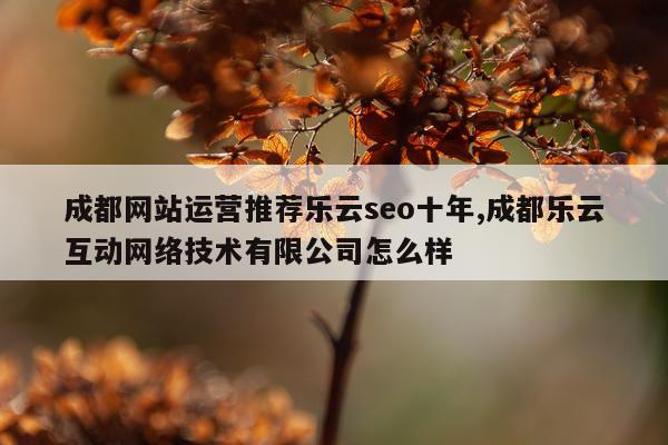 成都网站运营推荐乐云seo十年,成都乐云互动网络技术有限公司怎么样