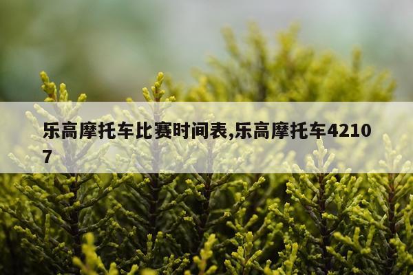 乐高摩托车比赛时间表,乐高摩托车42107