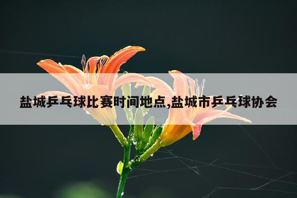 盐城乒乓球比赛时间地点,盐城市乒乓球协会