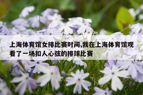 上海体育馆女排比赛时间,我在上海体育馆观看了一场扣人心弦的排球比赛