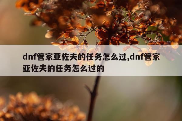 dnf管家亚佐夫的任务怎么过,dnf管家亚佐夫的任务怎么过的