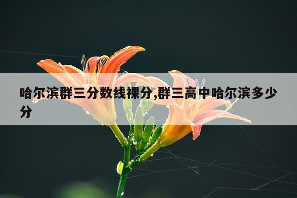 哈尔滨群三分数线裸分,群三高中哈尔滨多少分