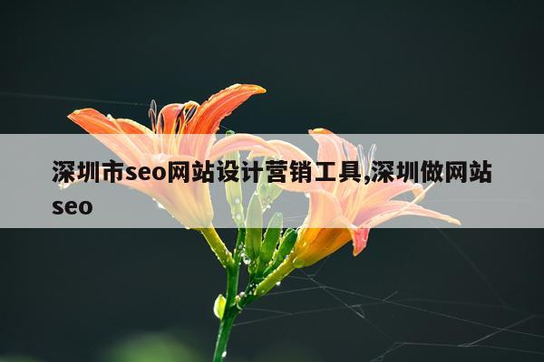 深圳市seo网站设计营销工具,深圳做网站seo