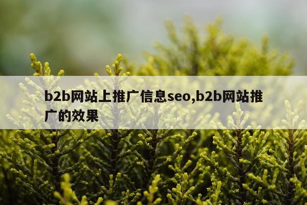 b2b网站上推广信息seo,b2b网站推广的效果