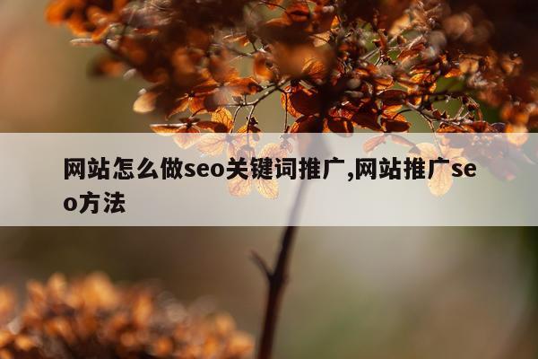 网站怎么做seo关键词推广,网站推广seo方法