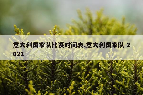 意大利国家队比赛时间表,意大利国家队 2021