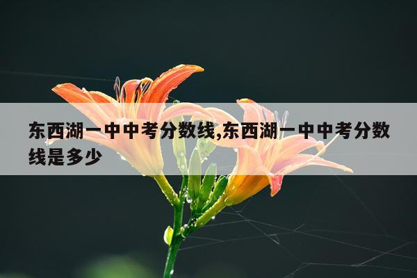 东西湖一中中考分数线,东西湖一中中考分数线是多少
