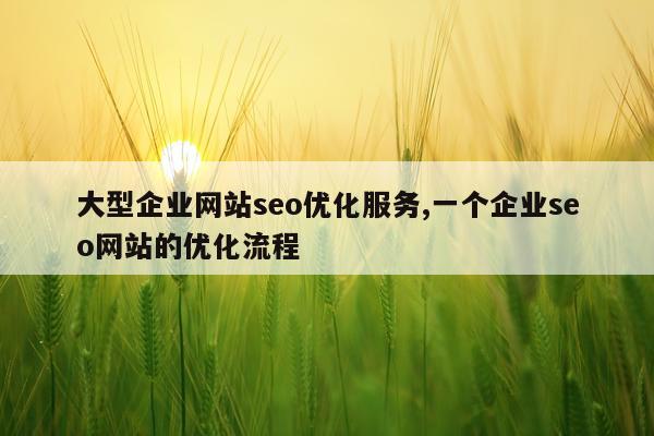大型企业网站seo优化服务,一个企业seo网站的优化流程