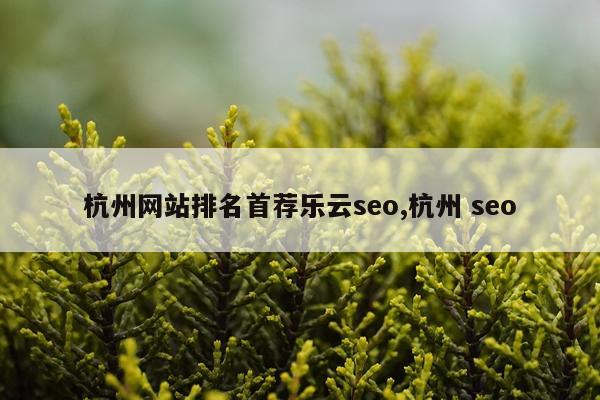 杭州网站排名首荐乐云seo,杭州 seo