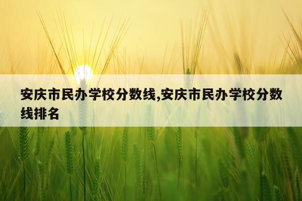 安庆市民办学校分数线,安庆市民办学校分数线排名