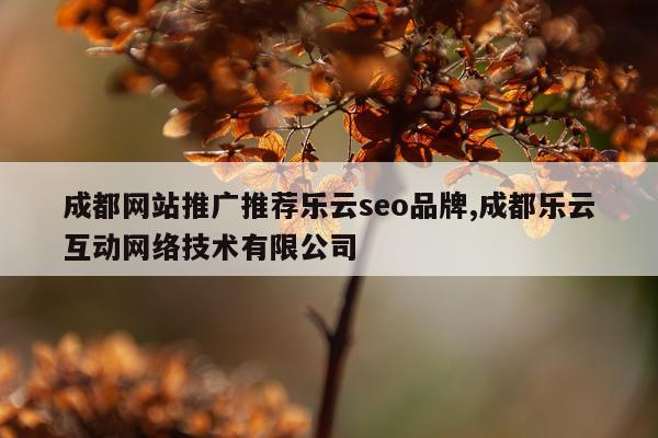 成都网站推广推荐乐云seo品牌,成都乐云互动网络技术有限公司
