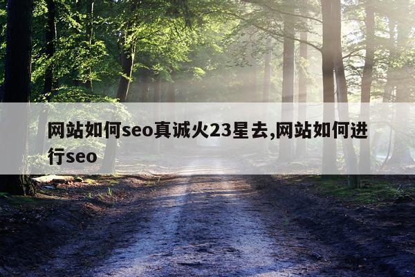 网站如何seo真诚火23星去,网站如何进行seo