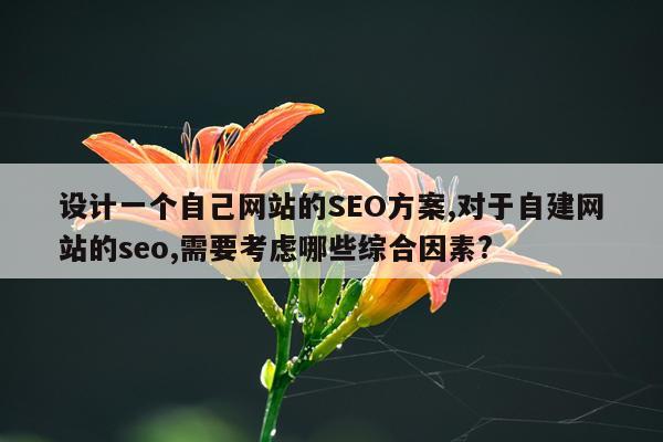 设计一个自己网站的SEO方案,对于自建网站的seo,需要考虑哪些综合因素?