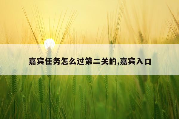 嘉宾任务怎么过第二关的,嘉宾入口
