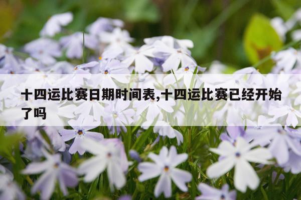 十四运比赛日期时间表,十四运比赛已经开始了吗