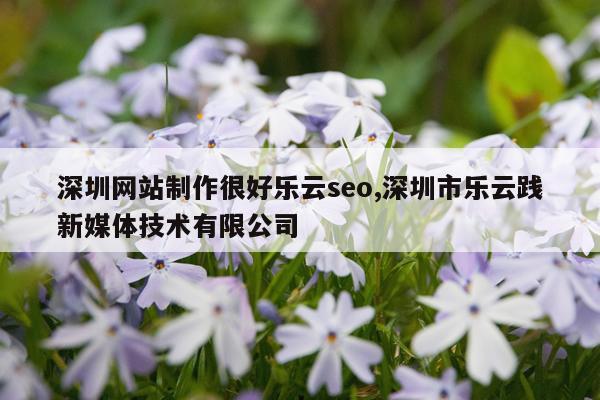 深圳网站制作很好乐云seo,深圳市乐云践新媒体技术有限公司