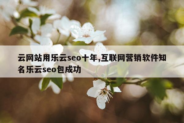 云网站用乐云seo十年,互联网营销软件知名乐云seo包成功