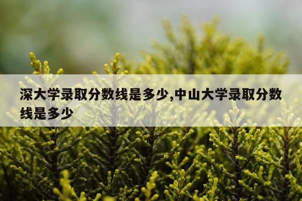 深大学录取分数线是多少,中山大学录取分数线是多少