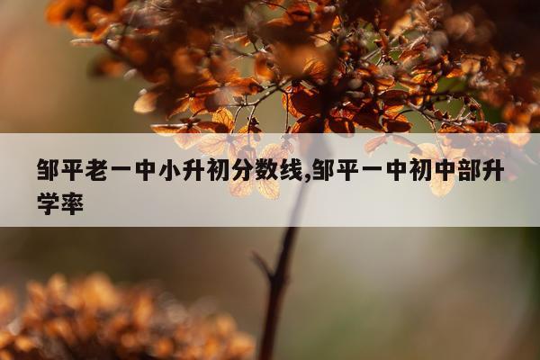 邹平老一中小升初分数线,邹平一中初中部升学率