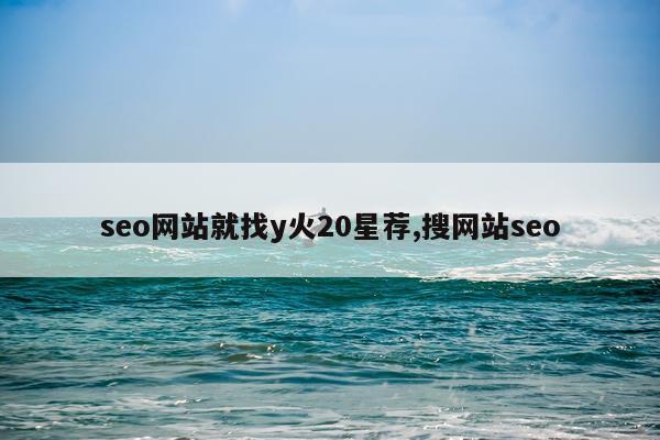seo网站就找y火20星荐,搜网站seo