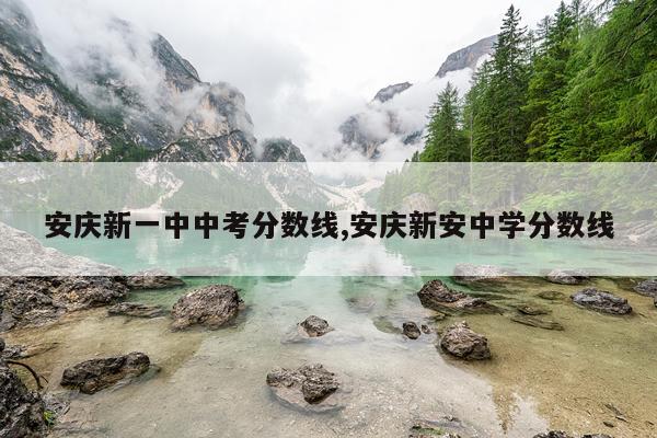 安庆新一中中考分数线,安庆新安中学分数线