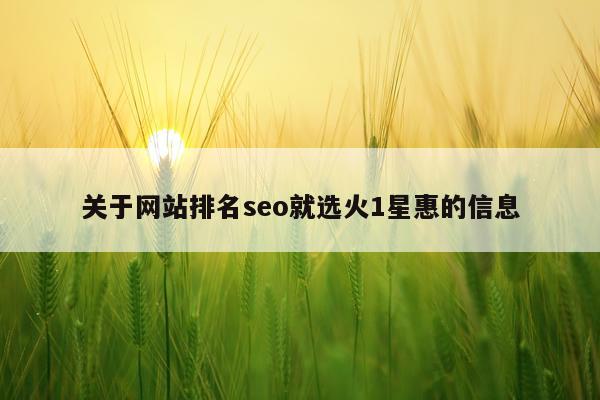 关于网站排名seo就选火1星惠的信息