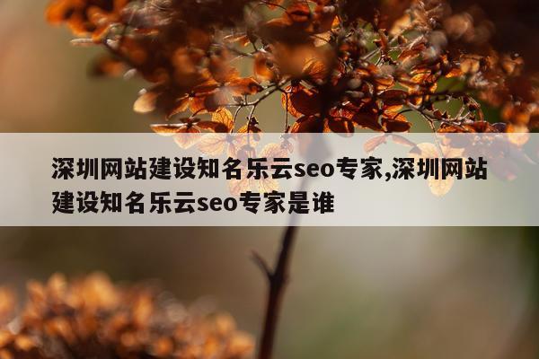 深圳网站建设知名乐云seo专家,深圳网站建设知名乐云seo专家是谁