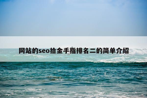 网站的seo拾金手指排名二的简单介绍