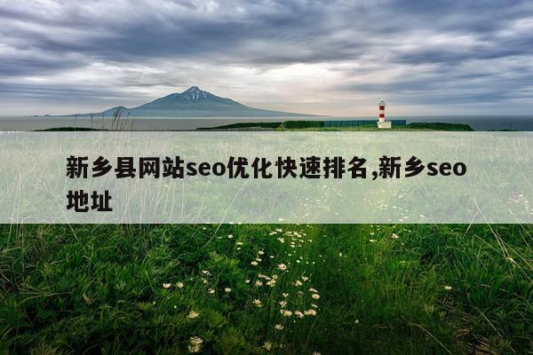新乡县网站seo优化快速排名,新乡seo地址