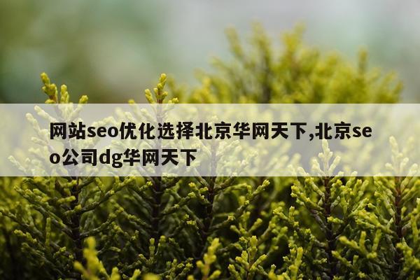 网站seo优化选择北京华网天下,北京seo公司dg华网天下