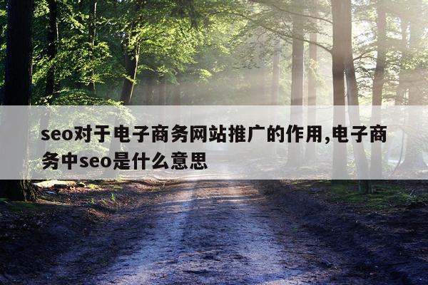seo对于电子商务网站推广的作用,电子商务中seo是什么意思