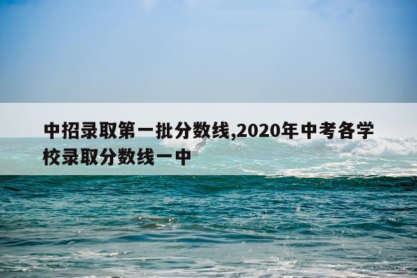 中招录取第一批分数线,2020年中考各学校录取分数线一中
