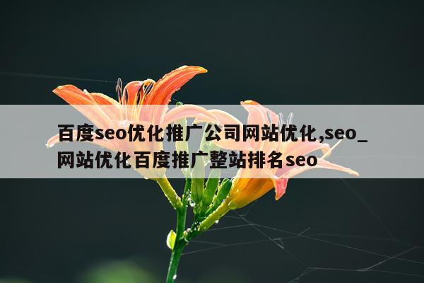 百度seo优化推广公司网站优化,seo_网站优化百度推广整站排名seo