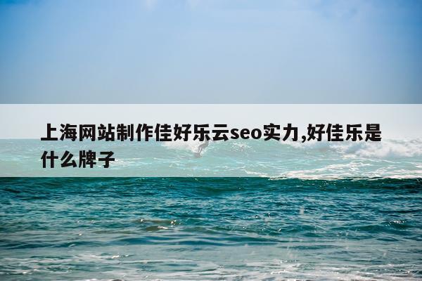 上海网站制作佳好乐云seo实力,好佳乐是什么牌子