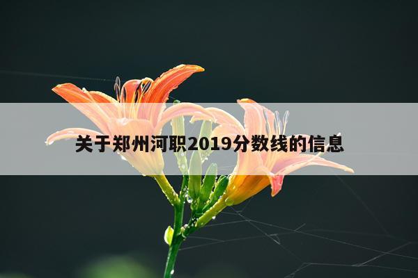 关于郑州河职2019分数线的信息