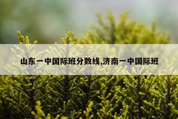 山东一中国际班分数线,济南一中国际班