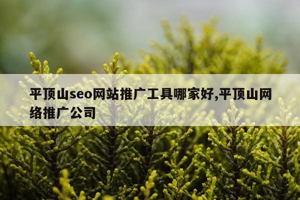 平顶山seo网站推广工具哪家好,平顶山网络推广公司