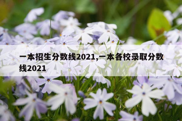 一本招生分数线2021,一本各校录取分数线2021