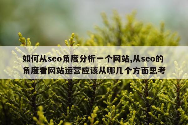 如何从seo角度分析一个网站,从seo的角度看网站运营应该从哪几个方面思考
